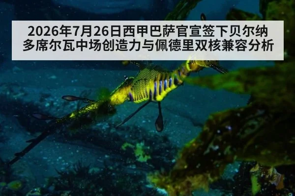 2026年7月26日西甲巴萨官宣签下贝尔纳多席尔瓦中场创造力与佩德里双核兼容分析