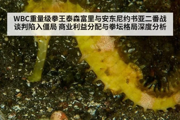 WBC重量级拳王泰森富里与安东尼约书亚二番战谈判陷入僵局 商业利益分配与拳坛格局深度分析